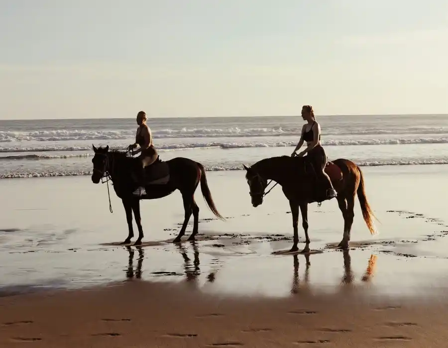 Horseback on the Beach in Ensenada